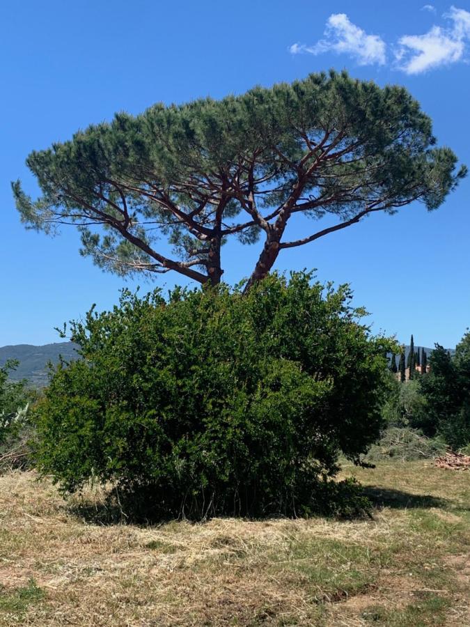 Operaviva Villa Suvereto Luaran gambar